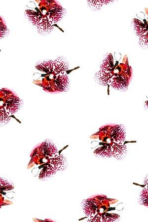 花印花花型图片