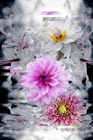花卉印花花型图片