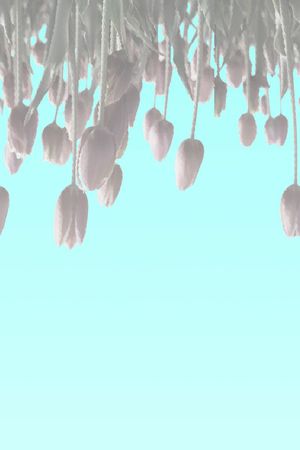 抽象印花花型图片