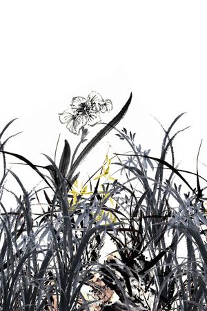花朵印花花型图片