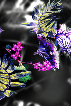 花卉印花花型图片