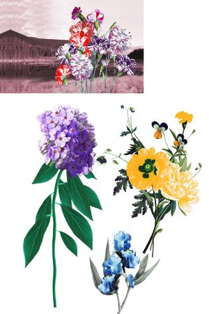 前片花景印花花型图片
