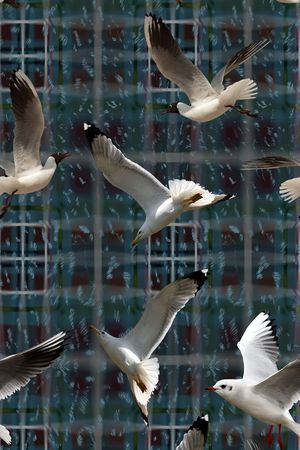 时尚印花花型图片