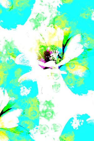 抽象印花花型图片
