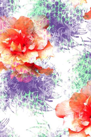 花瓣印花花型图片