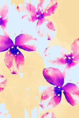 花瓣印花花型图片