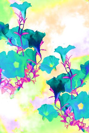 花瓣印花花型图片