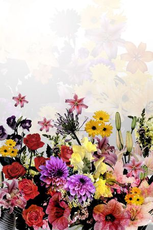 春夏印花花型图片