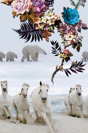 白马印花花型图片