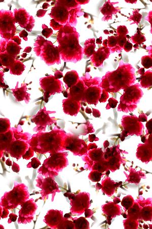 写实印花花型图片