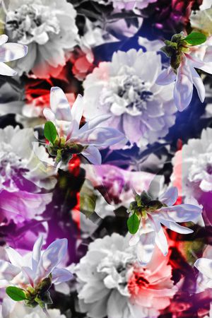 绚丽、女装、抽象、花卉印花花型图片