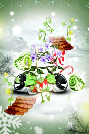 流行时尚印花花型图片