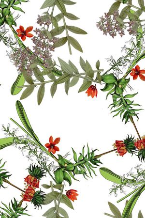 复古印花花型图片