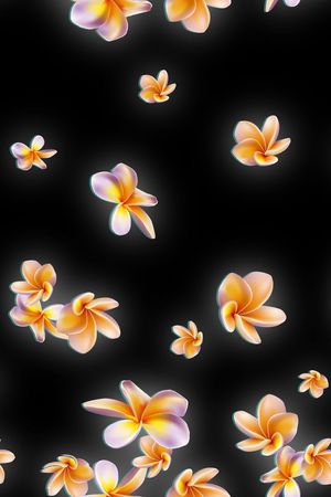 流行花卉印花花型图片