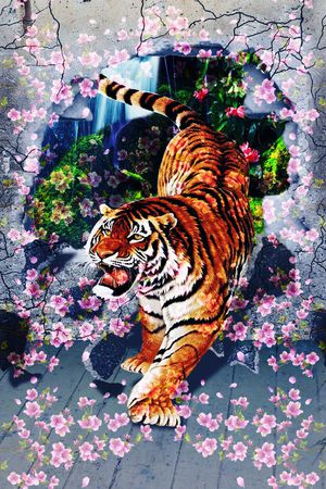 3d印花花型图片