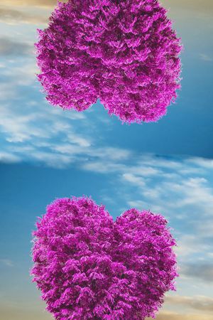 爱心印花花型图片