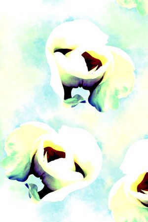 抽象印花花型图片