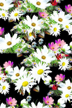 白色印花花型图片