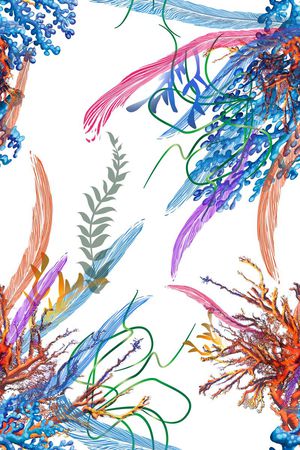 海洋印花花型图片