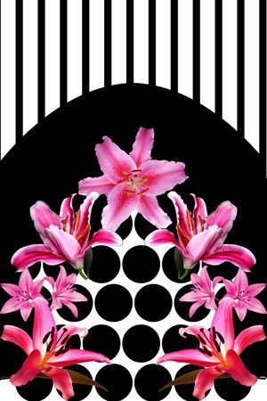 百合花印花花型图片