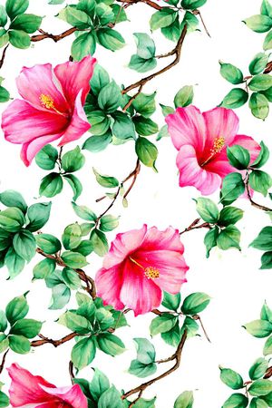 百合花印花花型图片
