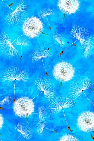 服装印花花型图片