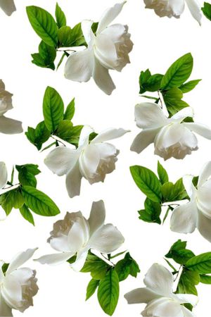 纯洁印花花型图片