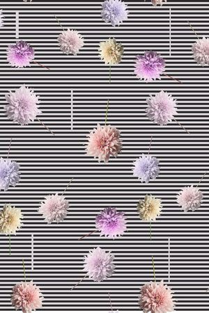 花卉印花花型图片