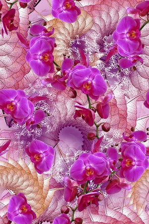 花卉印花花型图片