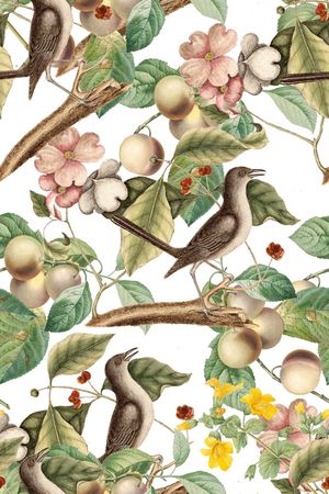 彩色素描印花花型图片