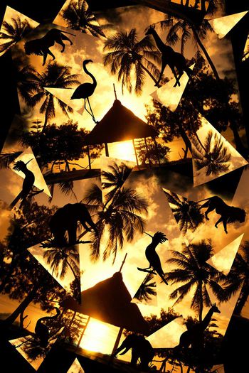 430334-热带风情椰树黄昏休闲度假非洲动物剪