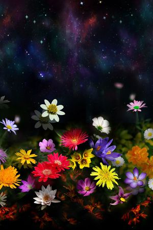 花卉印花花型图片