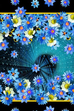 菊花印花花型图片