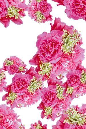 中国风印花花型图片