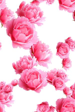 中国风印花花型图片
