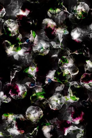 水墨牵牛花印花花型图片
