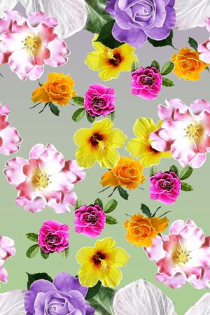渐变印花花型图片