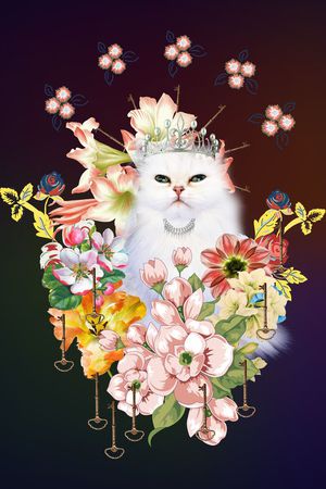 定位时尚印花花型图片