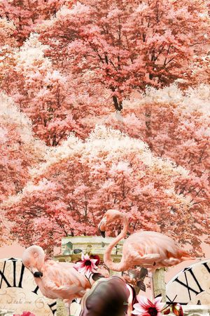 复古时钟印花花型图片