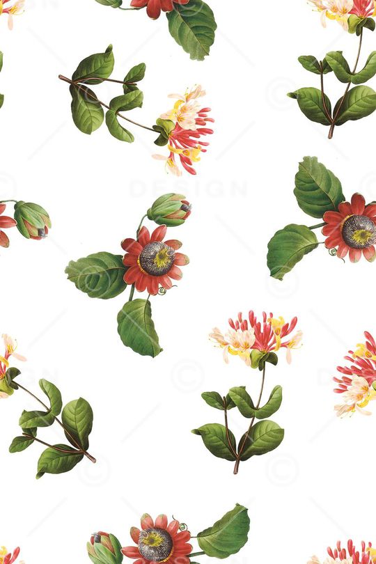 复古印花花型图片