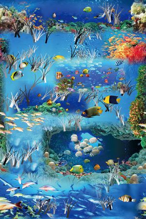 海洋生物印花花型图片
