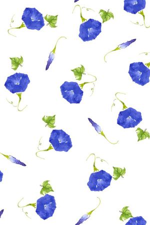 花瓣印花花型图片