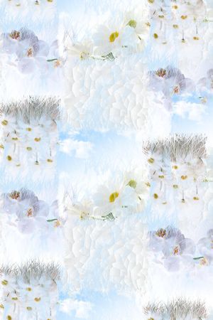 衬衫花型印花花型图片