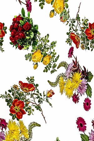 服装印花花型图片