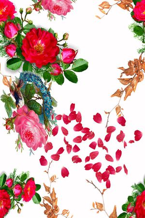 服装印花花型图片