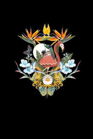 蝴蝶印花花型图片