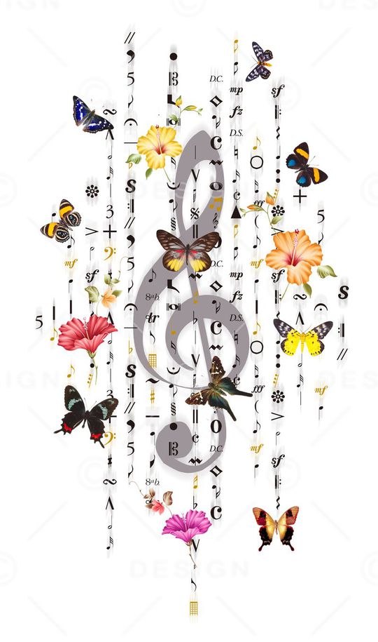 蝴蝶印花花型图片
