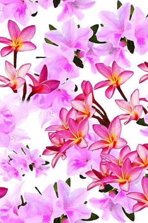 潮流印花花型图片