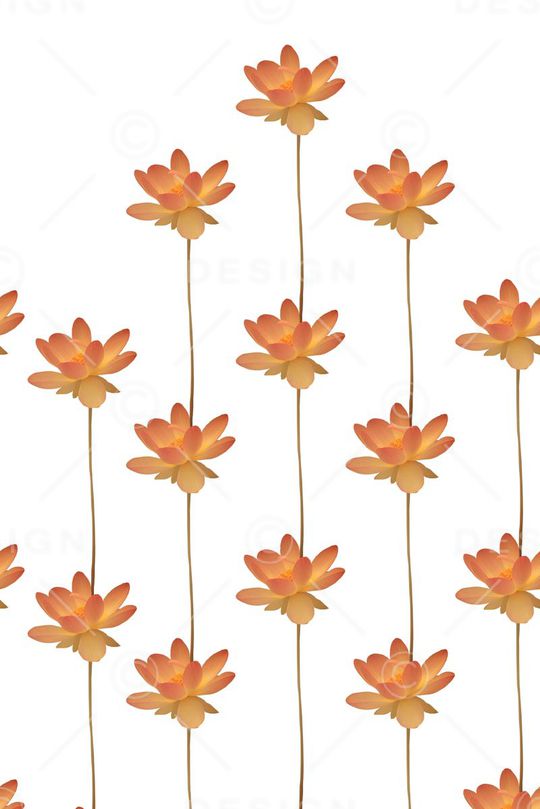 女装印花花型图片
