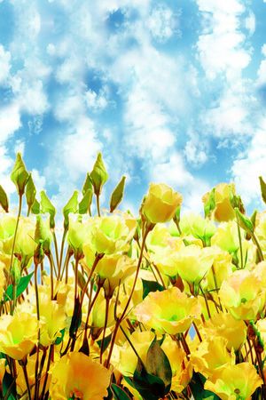 花卉印花花型图片